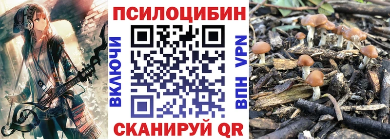 Купить закладки  Дагестанские Огни  Псилоцибиновые грибы MAGIC MUSHROOMS 