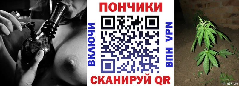Шишки марихуана Ganja Дагестанские Огни